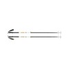 Traverse Pro Black Diamond touring ski poles - Foam Green