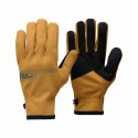 Gants Everyday Softshell Black Diamond