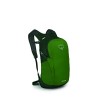 Sac polivalentna Daylite Osprey - Green Belt/Green Canopy