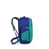 Sac Daylite Carry-On Travel Pack 44 Osprey - Blå Spikemossa/Alkaline