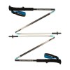 Distance Z Poles Black Diamond