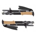 Bâtons Alpine FLZ Black Diamond