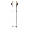 Bâtons Alpine FLZ 2018 Black Diamond