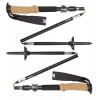 Bâtons Alpine FLZ 2018 Black Diamond