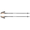Bâtons Alpine FLZ 2018 Black Diamond