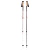 Palice Dámske Alpine Carbon Cork Black Diamond