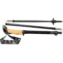 Black Series FX Carbon Leki Sticks