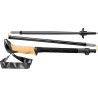 Black Series FX Carbon Leki Trekking Banks