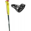 Nordic Walking Sticks Walker XS Leki