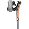 Traveler Carbon Leki Sticks