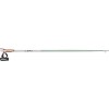 Passion Leki Sticks