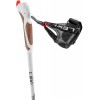 Passion Leki Sticks