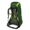 Sac de randonnée Exos 48 Osprey - Tunnel Green