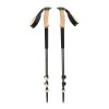 Trail Cork Black Diamond - Laurel Green Trail Sticks