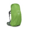 Ariel 55 Osprey - Koseret Green Backpack