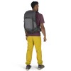 Talon ryggsäck 22 Osprey - Phantom Grey/Dark Charcoal