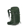 Talon ryggsäck 33 Osprey - Grön tak/tallblad