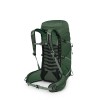 Talon ryggsäck 33 Osprey - Grön tak/tallblad