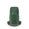 Talon ryggsäck 33 Osprey - Grön tak/tallblad
