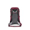 Hikelite ryggsäck 32 Osprey - Chameleon/svart