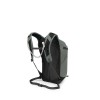 Sportlite 20 Osprey - Pine Leaf Green backpack