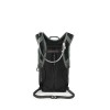 Sportlite 20 Osprey - Pine Leaf Green backpack