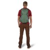 Sportlite backpack 25 Osprey - Pine Leaf Green