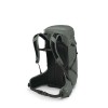Sportlite backpack 30 Osprey - Pine Leaf Green