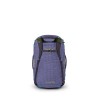 SAC Transporter 65 Duffel Osprey - Euphoria Purple/Purple Ink