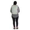 SAC Transporter Working -on 36 Osprey - Frosty Mint/Soundwave Grey