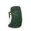 Mochila infantil Ace 38 Osprey - Canopy Green/Matcha Green