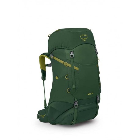 Mochila infantil Ace 38 Osprey - Canopy Green/Matcha Green