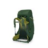 Mochila infantil Ace 38 Osprey - Canopy Green/Matcha Green