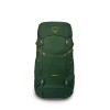 Mochila infantil Ace 38 Osprey - Canopy Green/Matcha Green