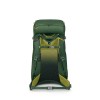 Mochila infantil Ace 38 Osprey - Canopy Green/Matcha Green