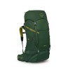 Mochila infantil Ace 50 Osprey - Canopy Green/Matcha Green