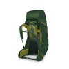 Mochila infantil Ace 50 Osprey - Canopy Green/Matcha Green
