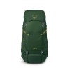 Mochila infantil Ace 50 Osprey - Canopy Green/Matcha Green