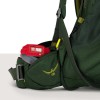 Mochila infantil Ace 50 Osprey - Canopy Green/Matcha Green