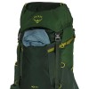 Mochila infantil Ace 50 Osprey - Canopy Green/Matcha Green