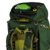 Mochila infantil Ace 50 Osprey - Canopy Green/Matcha Green
