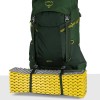 Mochila infantil Ace 50 Osprey - Canopy Green/Matcha Green