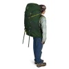 Mochila infantil Ace 50 Osprey - Canopy Green/Matcha Green