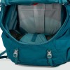 Mochila infantil Ace 65 Osprey - Blue Spikemass/Deep Pyto