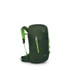 Barnens ryggsäck Jet 18 Osprey - Grön tak/Limeline Green - Ny design