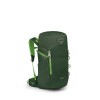 Barnens ryggsäck Jet 28 Osprey - Grön tak/Limeline Green - Ny design