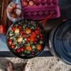 Genesis JetBoil camp stove