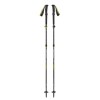 Distanz Plus FLZ Black Diamond All-Weather Spadséier- / Trail Pole