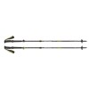 Distanz Plus FLZ Black Diamond All-Weather Spadséier- / Trail Pole