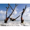Hamac simple SingleNest ENO